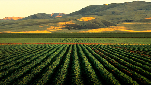 Crops and Foothills